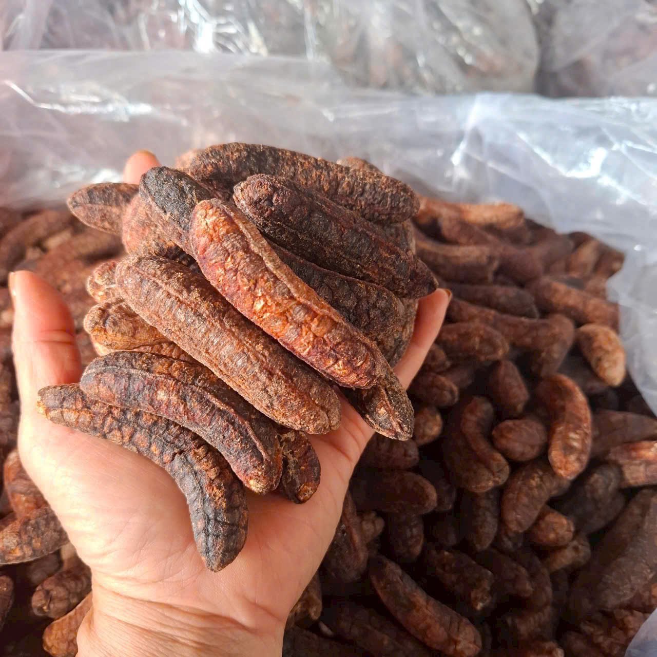 Chuối hột rừng hoang