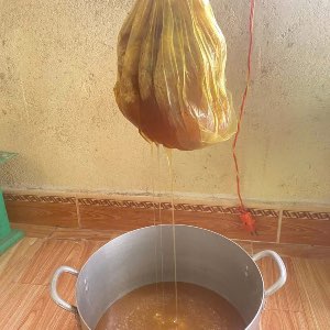 Mật ong rừng (quá trình lọc mật ong)
